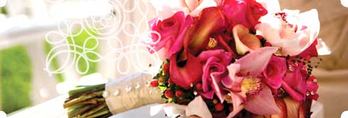 Tampa Bay Weddings - Flowers