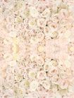 Tampa Bay Weddings Carpet of White Roses