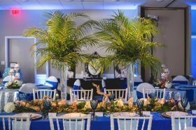 Bay Harbor Hotel Tampa Bay Weddings and Events